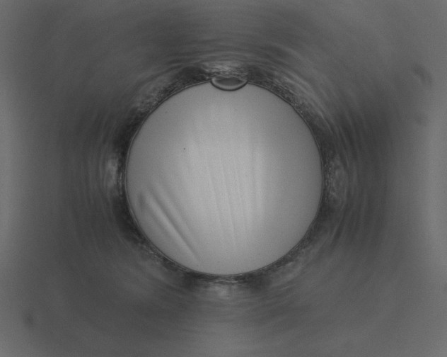 X0000116600420200912241717
