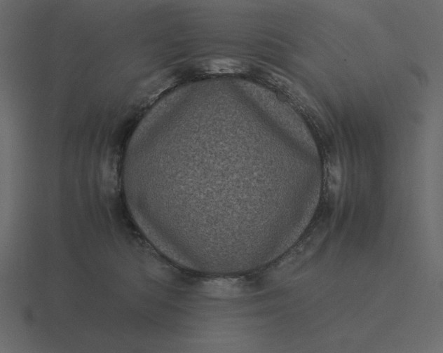 X0000116600422200912241717