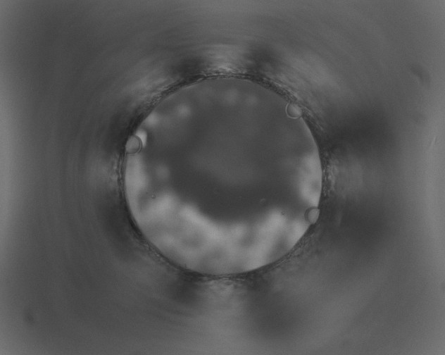 X0000116600423200912241717
