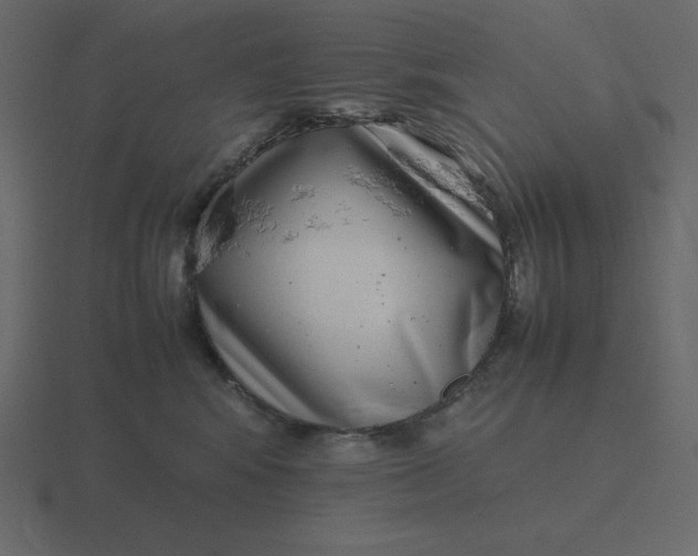 X0000116600424200912241717