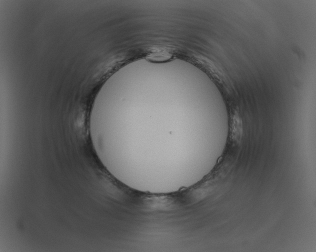 X0000116600428200912241717