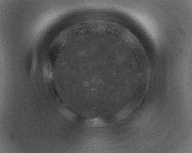 X0000116600431200912241717