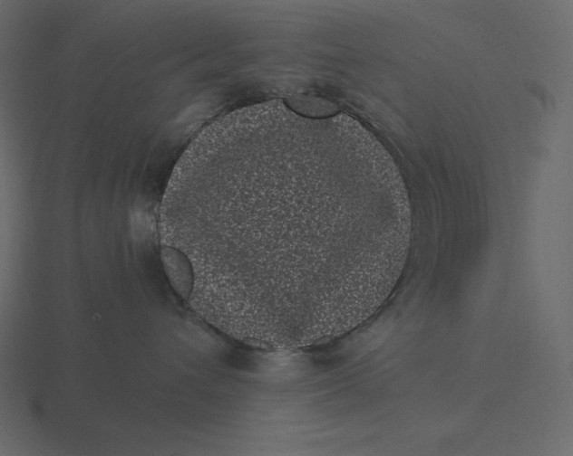 X0000116600432200912241717