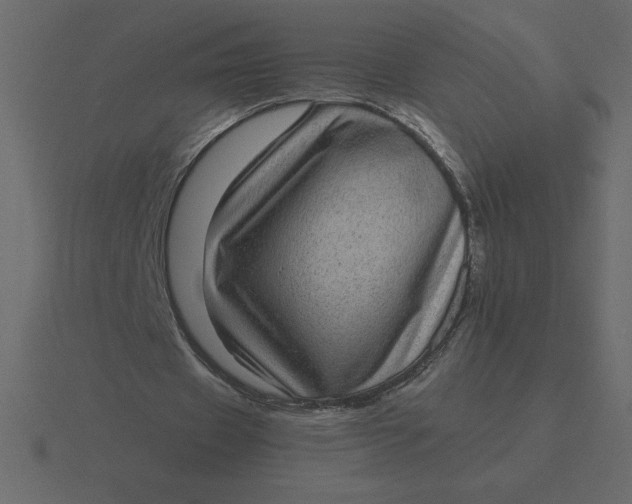 X0000116600433200912241717