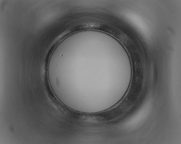 X0000116600435200912241717