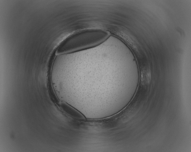 X0000116600436200912241717
