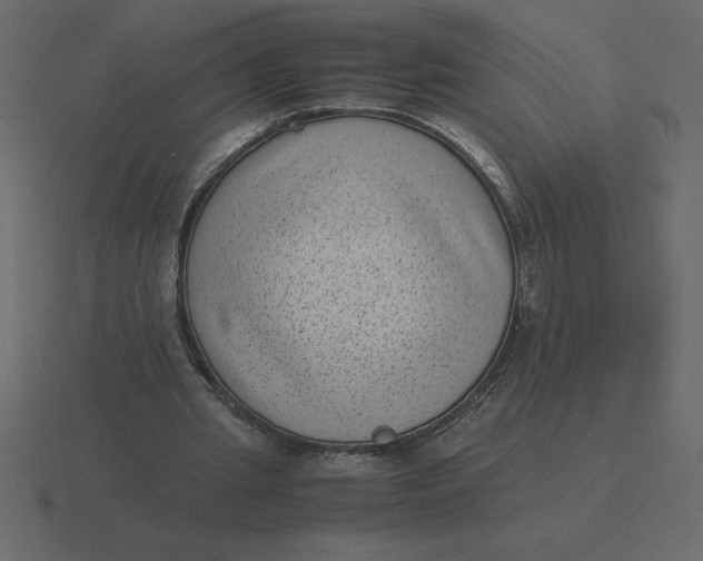 X0000116600437200912241717