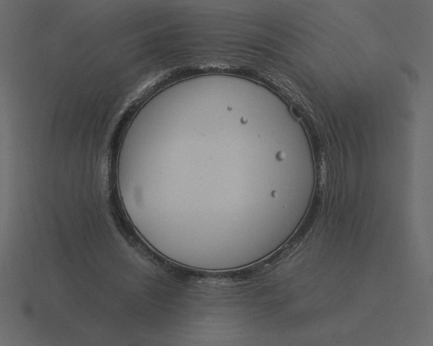 X0000116600444200912241717
