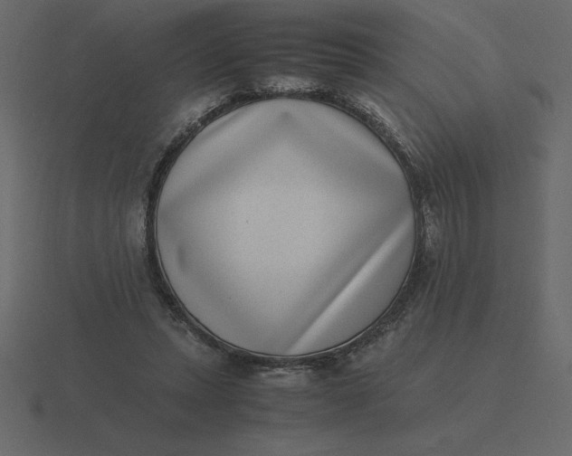 X0000116600447200912241717