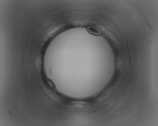 X0000116600448200912241717