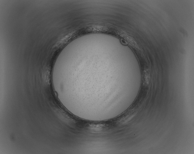 X0000116600450200912241717