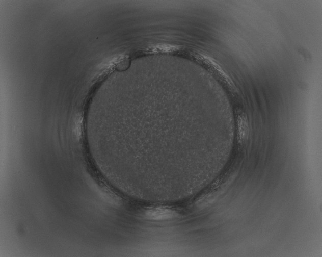 X0000116600451200912241717