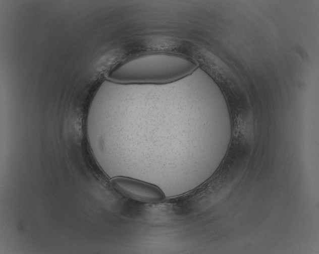 X0000116600452200912241717