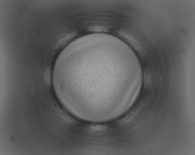 X0000116600453200912241717