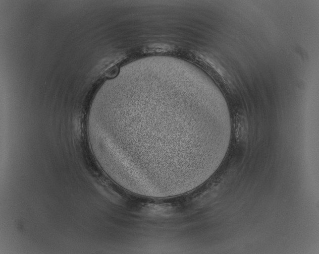 X0000116600455200912241717