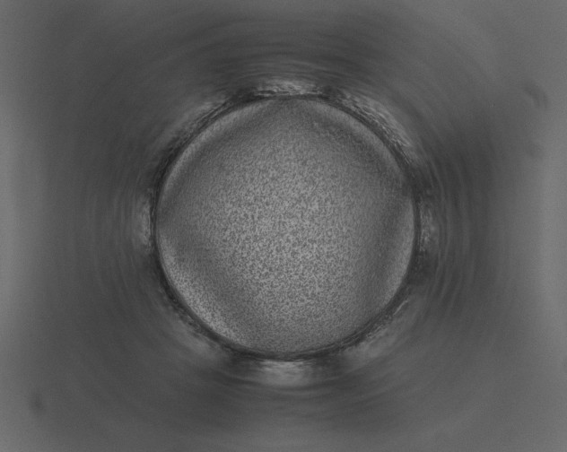 X0000116600457200912241717