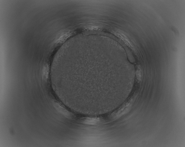X0000116600458200912241717
