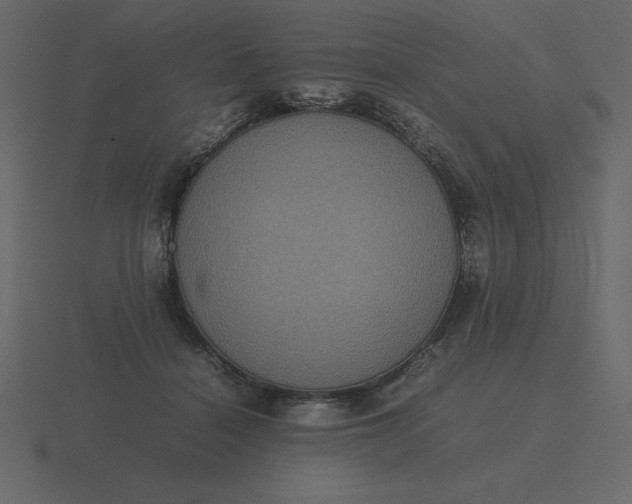 X0000116600460200912241717