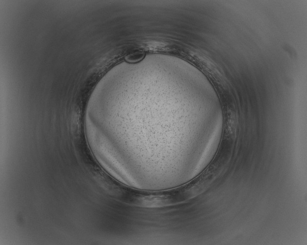 X0000116600461200912241717