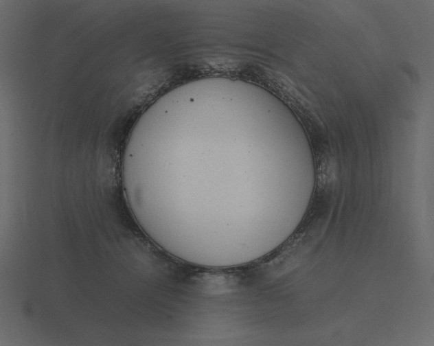 X0000116600464200912241717