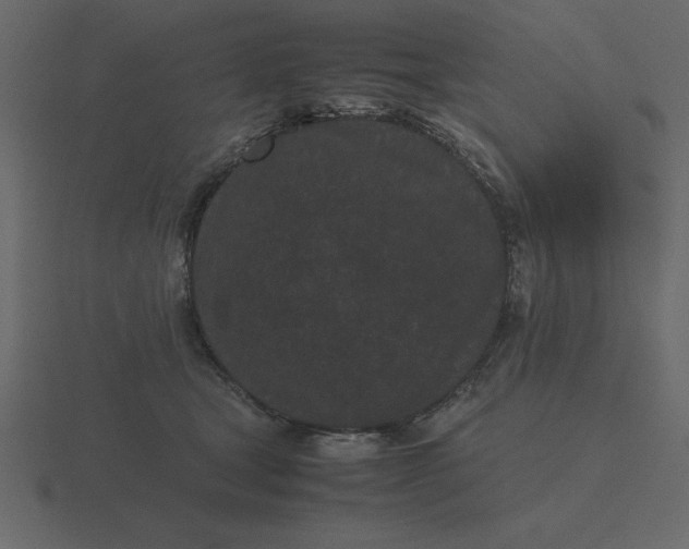 X0000116600465200912241717