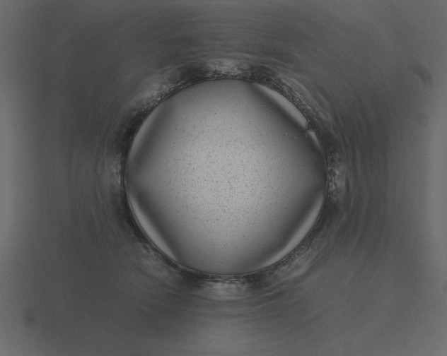 X0000116600466200912241717
