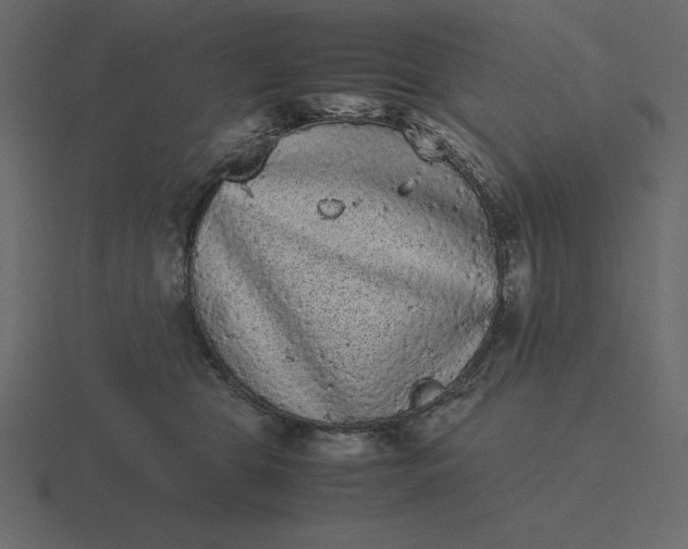 X0000116600469200912241717