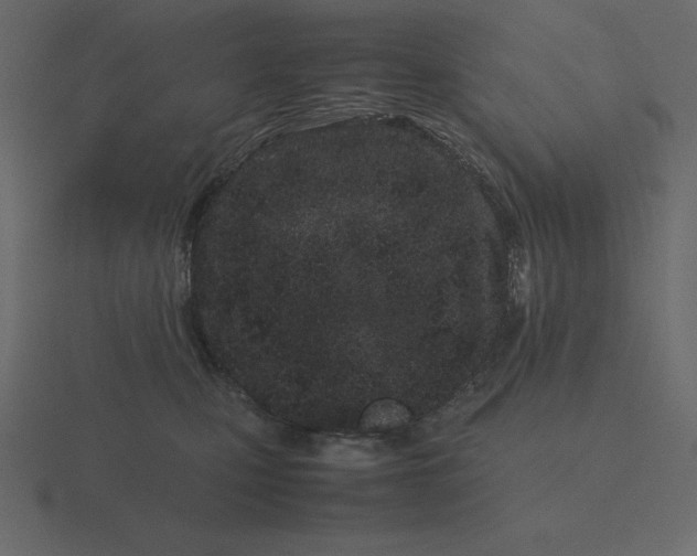 X0000116600471200912241717