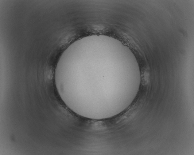 X0000116600472200912241717