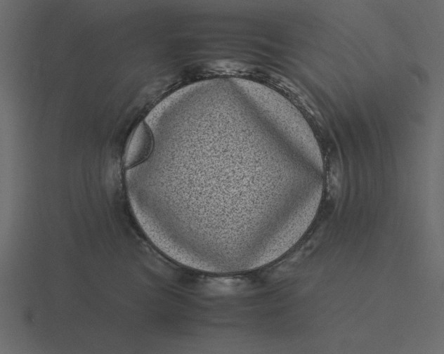 X0000116600473200912241717