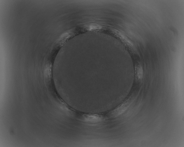 X0000116600475200912241717