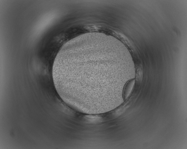 X0000116600477200912241717