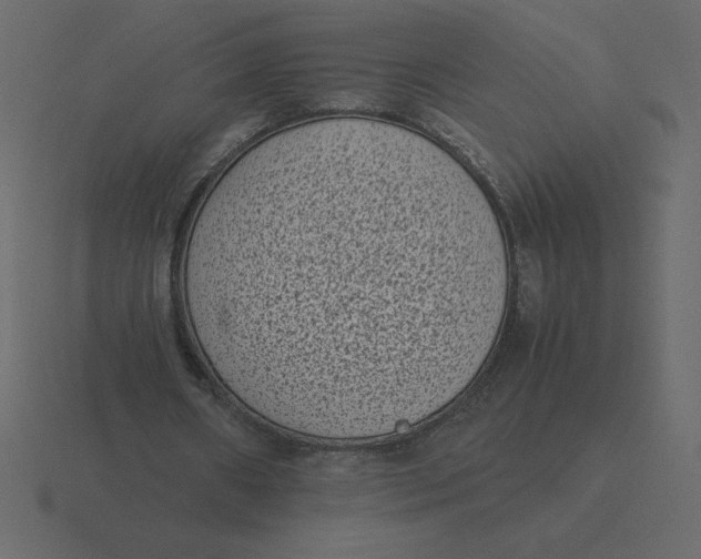 X0000116600482200912241717