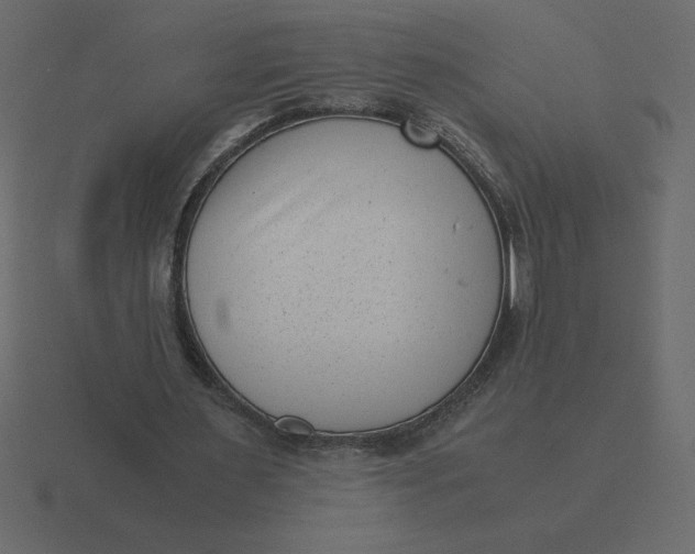 X0000116600483200912241717