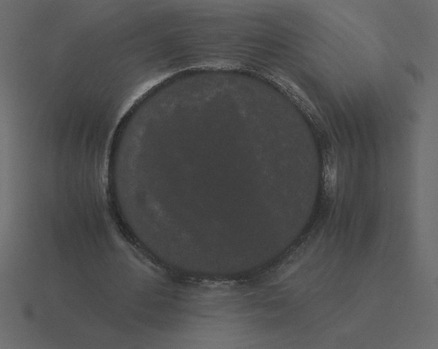 X0000116600484200912241717
