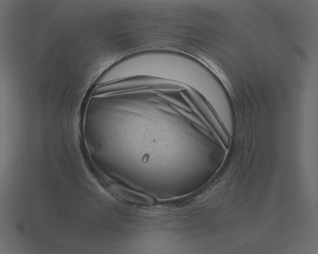 X0000116600485200912241717