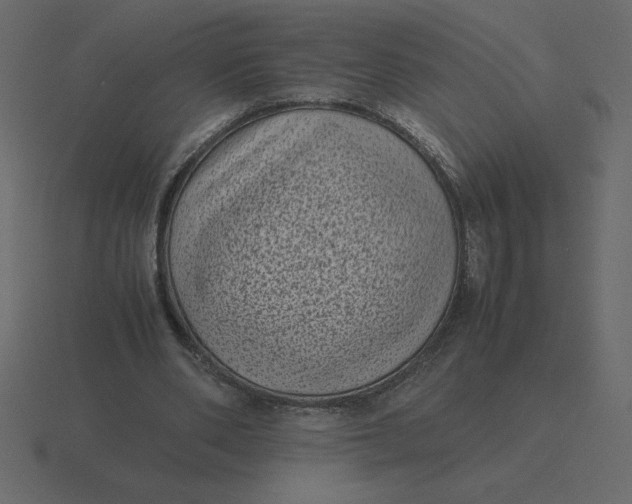 X0000116600486200912241717