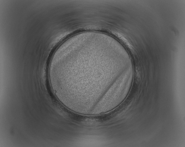 X0000116600487200912241717