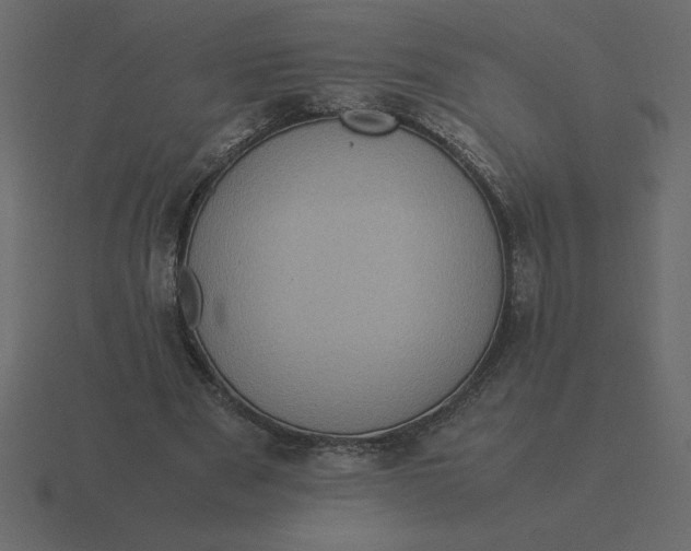 X0000116600489200912241717
