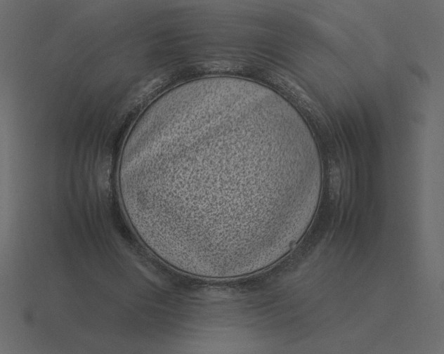 X0000116600490200912241717