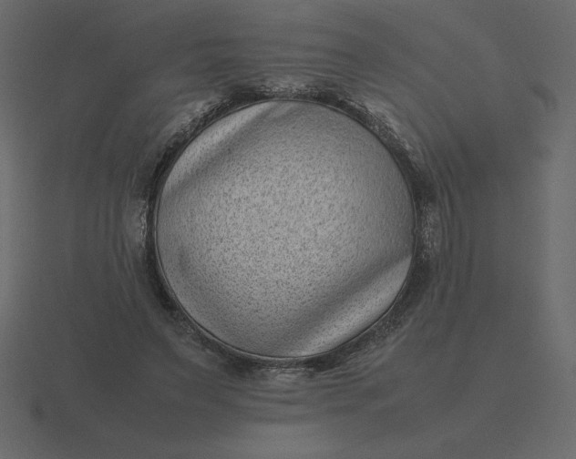 X0000116600495200912241717