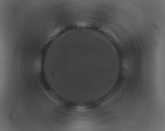 X0000116600496200912241717