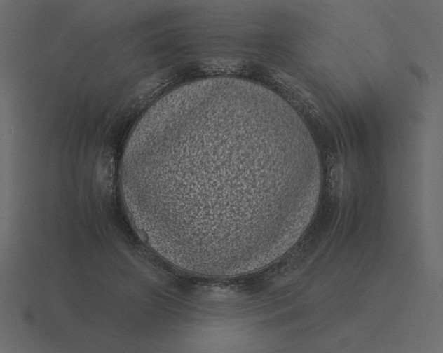 X0000116600498200912241716