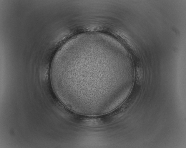 X0000116600499200912241716