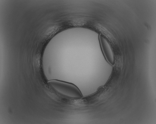 X0000116600501200912241716