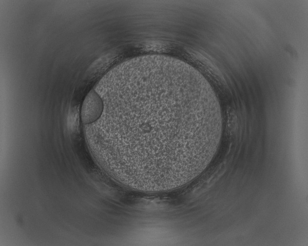 X0000116600502200912241716