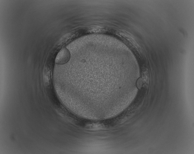 X0000116600503200912241716
