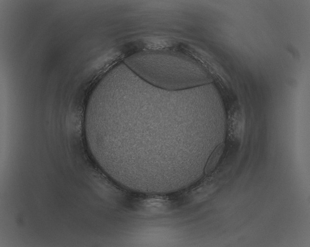 X0000116600505200912241716