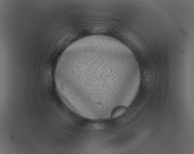X0000116600506200912241716