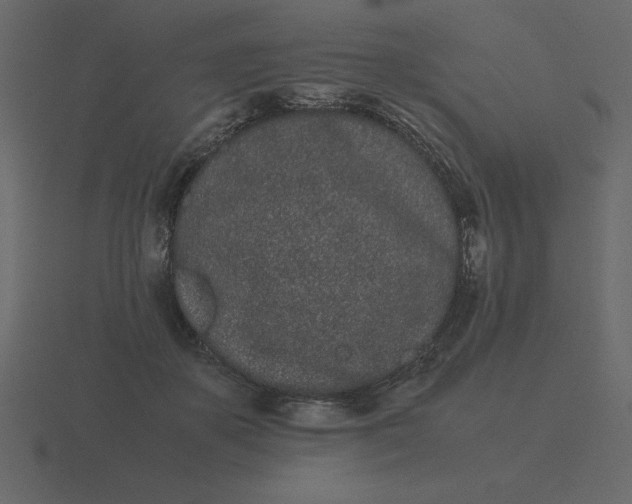X0000116600507200912241716